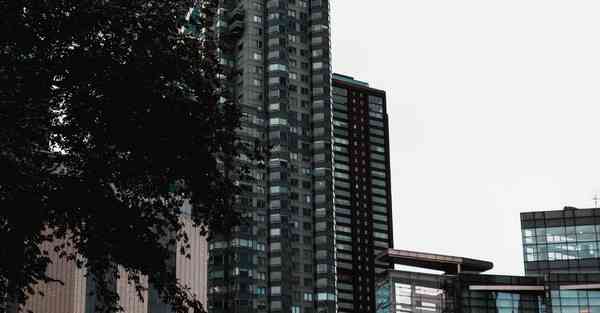 冬奥会里运用的AI技术，冬奥会里运用的AI技术是什么