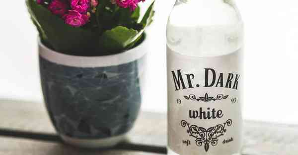 人工智能机器人和人谈恋爱