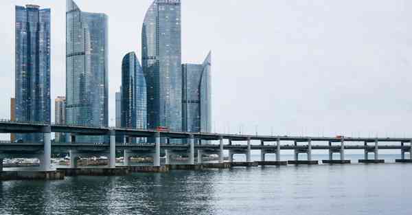 倒牛奶的女仆绘画AI（AI绘画活着的奶奶）