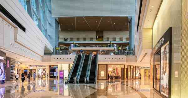 网络科学大数据：探索数字化世界的奥秘