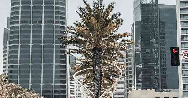 智能问答机器人竞品分析