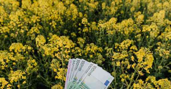 CHATGPT可以转换编程语言 语言学和CHATGPT的关系