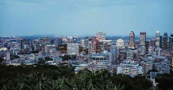 大数据智能机器人概念股