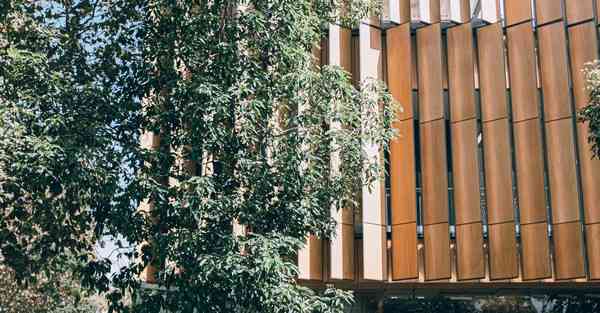 互联网大数据金融监管部门（互联网大数据金融监管部门有哪些）