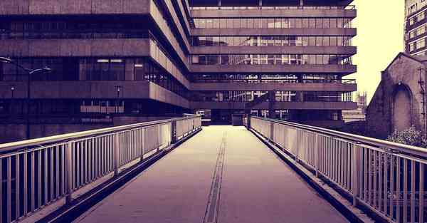 网络科学大数据：探索数字化世界的奥秘