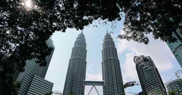 大数据思维打麻将的软件