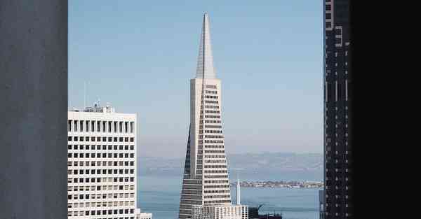 智能机器人吸睛