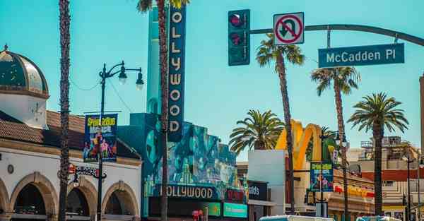 网络科学大数据：探索数字化世界的奥秘