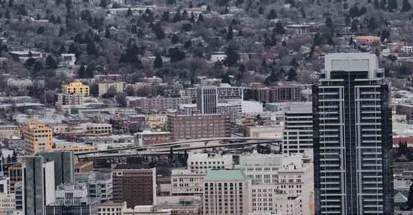 倒牛奶的女仆绘画AI（AI绘画活着的奶奶）