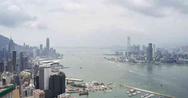 网络科学大数据：探索数字化世界的奥秘