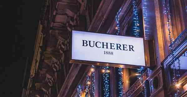 智能机器人女伴侣