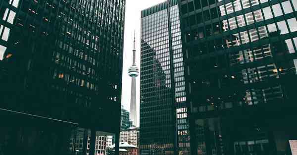 倒牛奶的女仆绘画AI（AI绘画活着的奶奶）