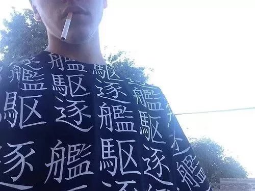 叶环纪群